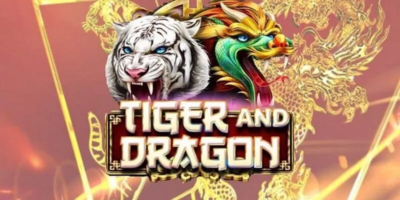 Những lưu ý quan trọng khi chơi Rồng Hổ